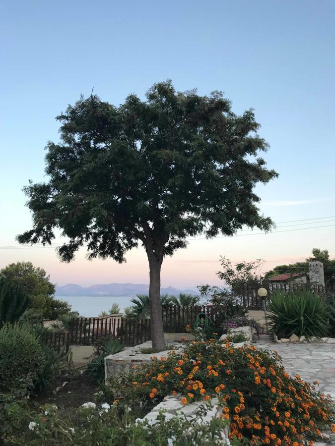 Villa Michela Scopello  Kültér fotó
